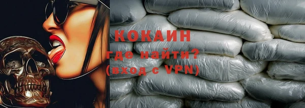 стаф Алзамай