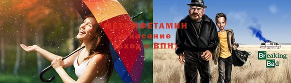 стаф Алзамай