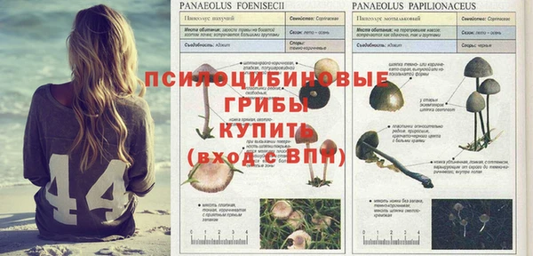 альфа пвп VHQ Семикаракорск