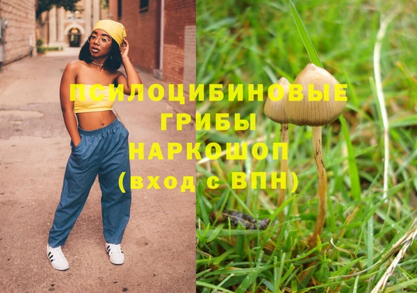 герыч Дедовск