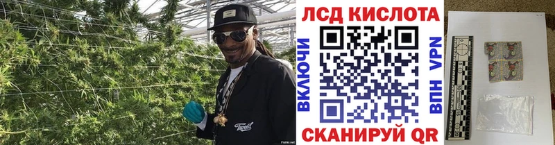 Марки NBOMe 1500мкг где купить Берёзовский
