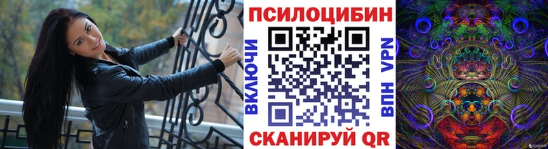 Псилоцибиновые грибы мухоморы  Берёзовский 